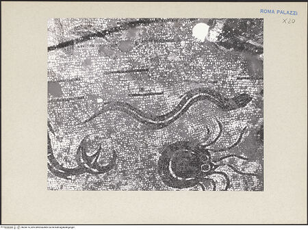 Vorderseite von bh260176_recto