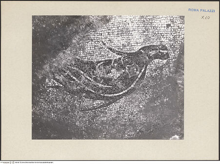 Vorderseite von bh260178_recto