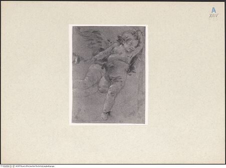 Vorderseite von bh260196_recto