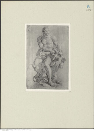 Vorderseite von bh260212_recto