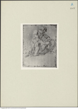 Vorderseite von bh260213_recto