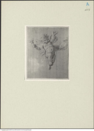 Vorderseite von bh260218_recto