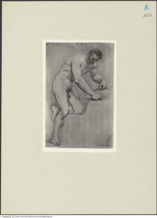 Vorderseite von bh260219_recto