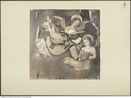 Vorderseite von bh260241_recto