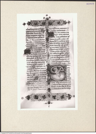 Vorderseite von bh260309_recto