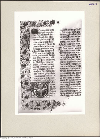 Vorderseite von bh260310_recto