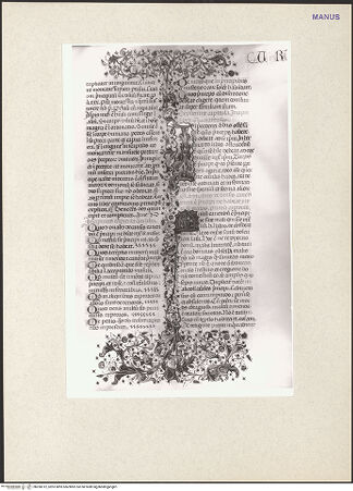 Vorderseite von bh260312_recto