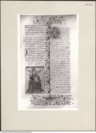 Vorderseite von bh260313_recto