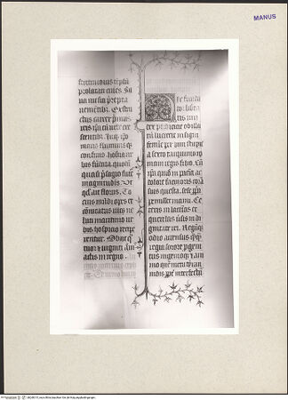 Vorderseite von bh260315_recto