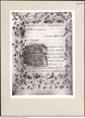 Vorderseite von bh260325_recto