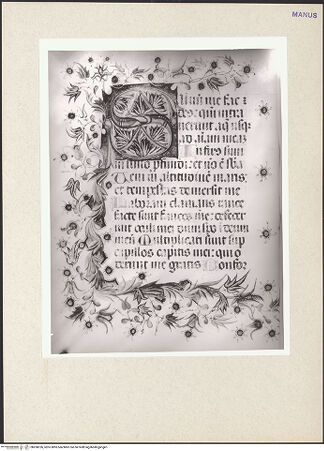 Vorderseite von bh260326_recto