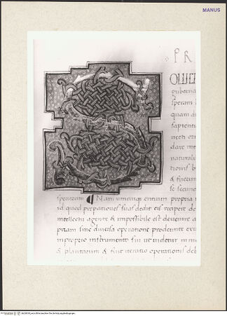 Vorderseite von bh260343_recto