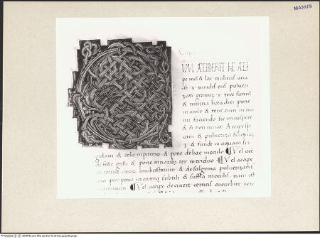 Vorderseite von bh260346_recto