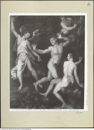 Vorderseite von bh260366_recto