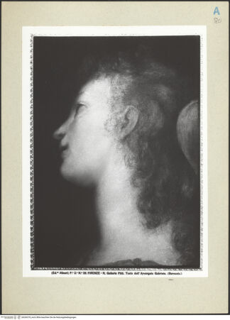 Vorderseite von bh260378_recto