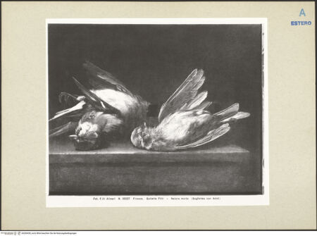 Vorderseite von bh260430_recto