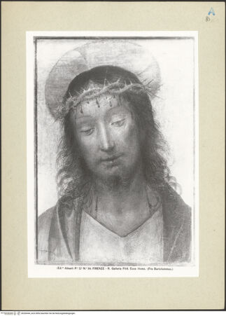 Vorderseite von bh260444_recto