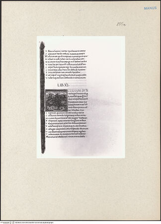 Vorderseite von bh260525_recto