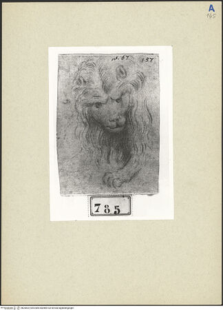 Vorderseite von bh260542_recto