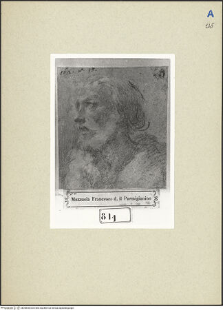 Vorderseite von bh260548_recto