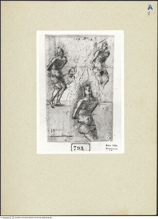 Vorderseite von bh260557_recto