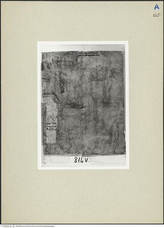 Vorderseite von bh260558_recto