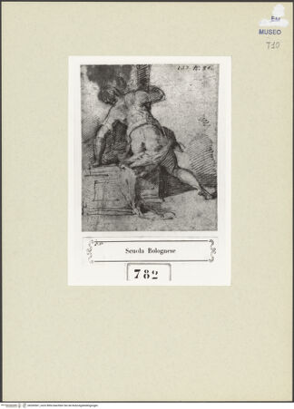 Vorderseite von bh260567_recto