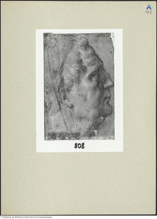 Vorderseite von bh260569_recto