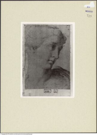 Vorderseite von bh260596_recto