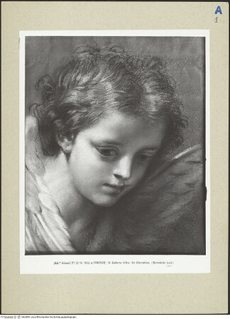 Vorderseite von bh260681_recto