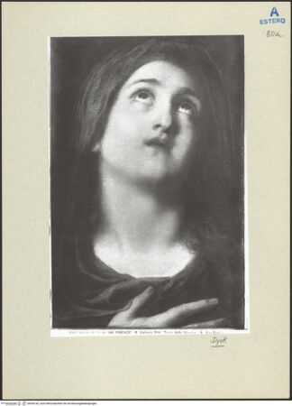 Vorderseite von bh260742_recto