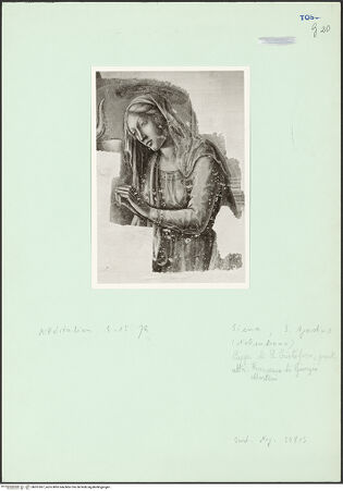 Vorderseite von bh261067_recto