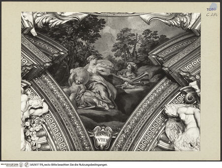 Vorderseite von bh261119_recto