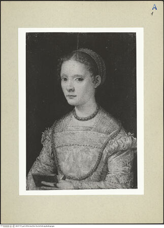 Vorderseite von bh261131_recto