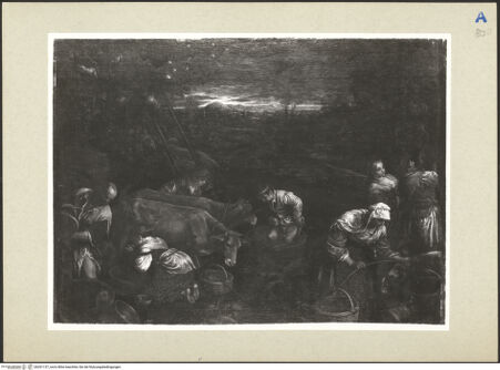 Vorderseite von bh261137_recto