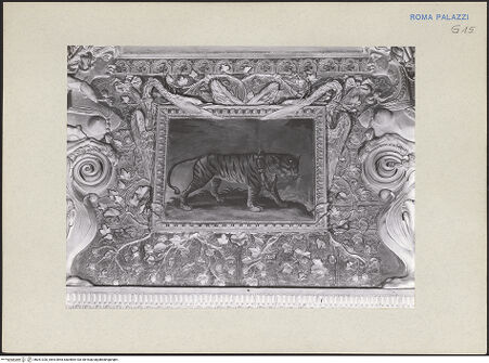 Vorderseite von bh261320_recto