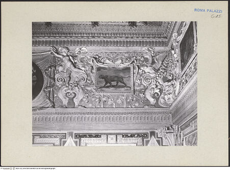 Vorderseite von bh261322_recto