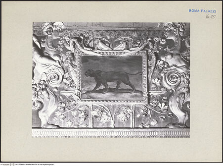 Vorderseite von bh261324_recto