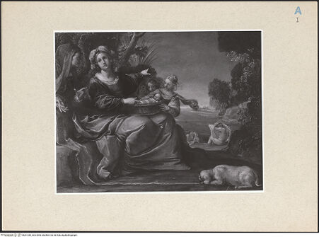 Vorderseite von bh261485_recto