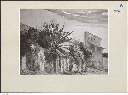 Vorderseite von bh261492_recto