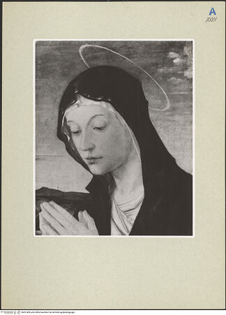 Vorderseite von bh261499_recto