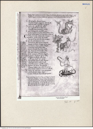 Vorderseite von bh261557_recto