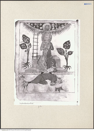 Vorderseite von bh261562_recto