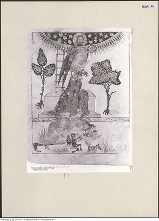 Vorderseite von bh261563-01_recto