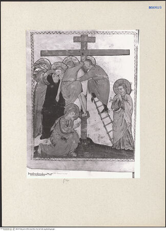 Vorderseite von bh261564_recto