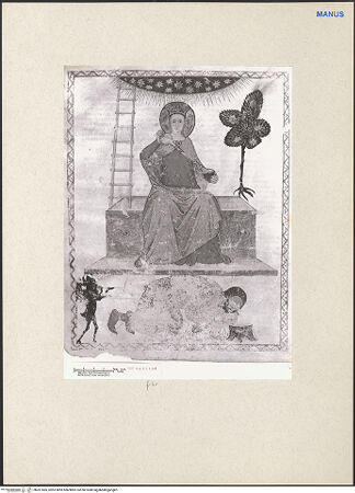 Vorderseite von bh261565_recto