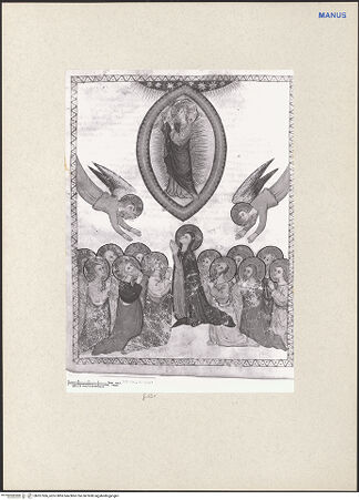 Vorderseite von bh261566_recto