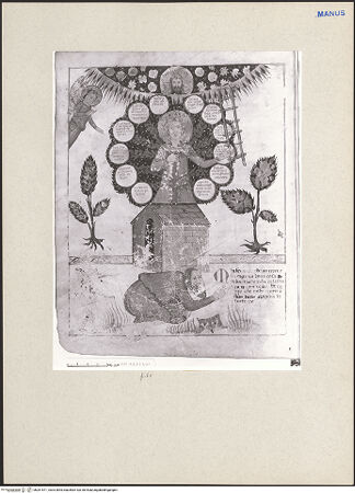 Vorderseite von bh261571_recto