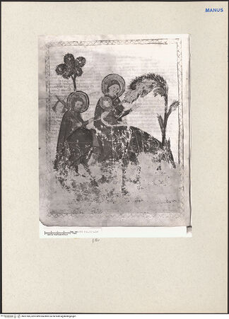 Vorderseite von bh261585_recto