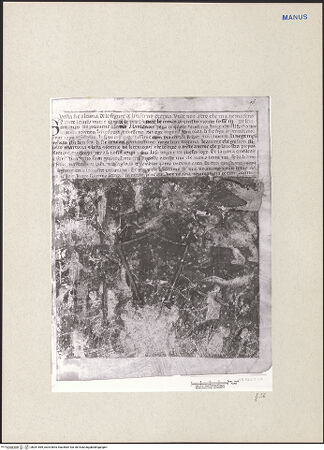 Vorderseite von bh261589_recto